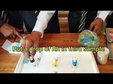 “Amazing Science Experiments for Class 10 Students!”