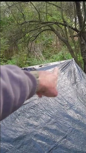No Knot Robert's Toggle Tarp System #bushcraft #survival #shorts