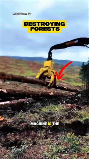 😱Does This Machine Destroy Forests or Save the Economy⁉️#shorts