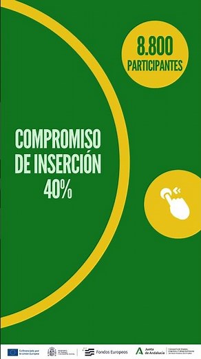 PROGRAMA VULNERABLES