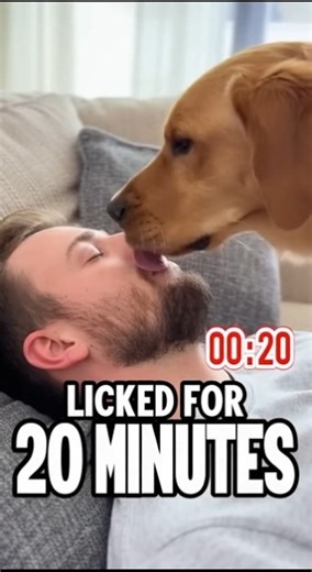 Dog Saves Owner from Diabetic Coma—Licked Face for 20 Minutes!
