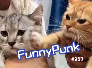 【FunnyPunk】消灭你的不开心！国外趣味视频集锦#357