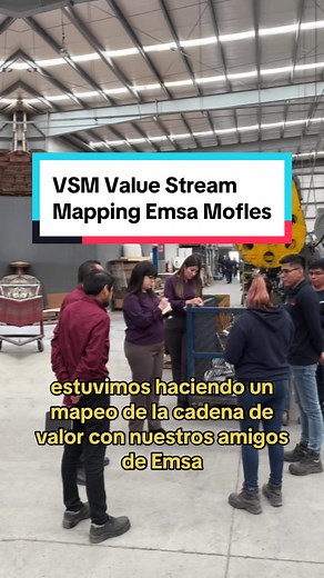 Elaboración de un VSM para Emsa Mofles
