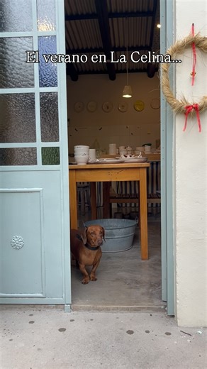 La Celina taller de cerámica on Instagram: "Todos los videos son del mismo día 😅🌧️🌞🍑🍃🐦‍⬛ La Celina - cerámica & acuarelas. Visítanos en Merlo San Luis! Calle El Molino 185, barrio El Rincón. Todos nuestros productos tienen envío 📦 🇦🇷 #ceramica #acuarela #taller #verano #atelier"