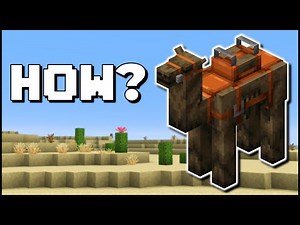 Minecraft - How To Get A Camel Husk Mount (Bedrock/Java)