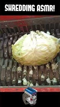 Best Shredding Videos!