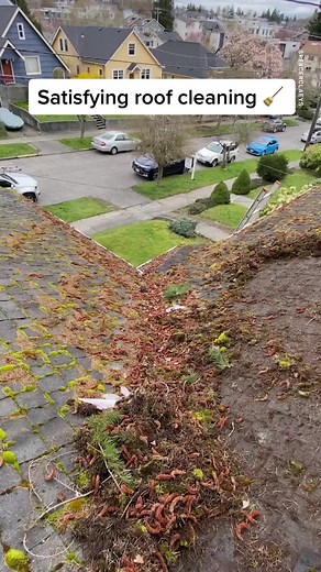 Satisfying Roof Cleaning: A Deep Dive Into Dirt and Grime Removal