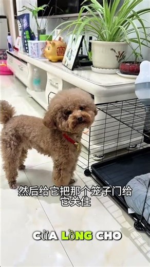 Brothers staying home together