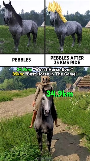 KCD2 Players After Riding Pebbles 35km #kingdomcomedeliverance2 #kcd2