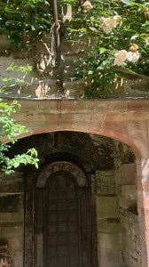 Four little swallows have just this minute safely fledged (they’re now sitting on the roof of the Solar Tower). Just one left in the nest preparing for take off! | Gwydir Castle