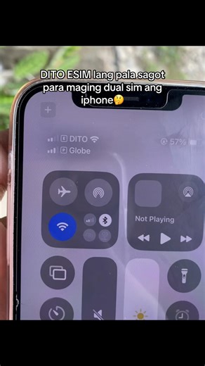 eSIM para sa Dual SIM ng iPhone