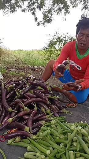 28K views · 2.5K reactions | Bangan tag talong #gulay | Jhondy P. Minion | Facebook