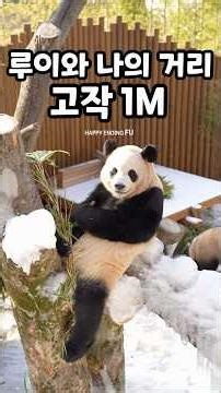 유리 없이 둥이들을 가장 가까이서 만날 수 있는 곳!! 아가들이 야외 나무에 올라와 앉아 있으면 가까운 거리에 눈높이도 비슷해서 숨죽이고 보게 된답니다💜 (2026.01.09)