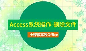 Access系统操作-删除文件