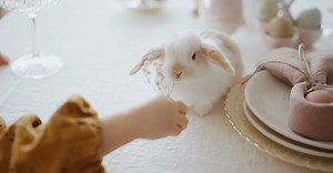 Video by Mikhail Nilov on Pexels