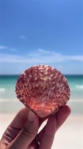 Experience Luxury Beach Vacationing in Panama City Beach