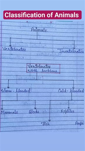 🐾 Classification of Animals #AnimalClassification #Zoology #LearnBiology#Vertebrates #Invertebrates