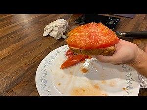 Check out the Parks Whopper biggest tomato we have grown. #ParksWhopper#Gardeningbygrace