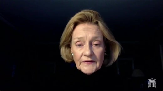 Tory peer compared to Red Dwarf character as 'floating head' appears on Zoom