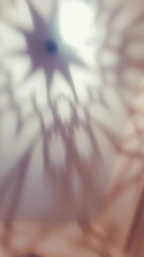 tk. 06.ATEŞ fann (@ateszf06ad1rety) adlı kullanıcının orijinal ses - tk. 06.ATEŞ fann ile oluşturduğu videoları