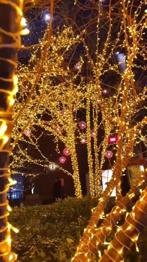 Colorful string lights decorating trees can instantly bring vitality to your evening. These lights are waterproof, sunproof, and frost-resistant, making them perfect for outdoor use – they can withstand wind and rain. For festive decorations, these are definitely the best choice. #Hengyang Lighting Solutions# Nighttime lighting for cultural and tourist attractions.