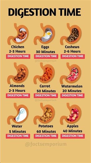 How Fast Does Your Body Digest Different Foods? 🍎🥩🥕 | Complete Digestion Guide #healthyeating