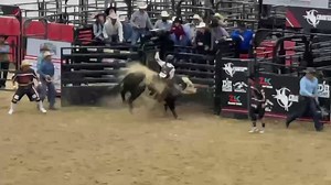 Damien Krushall makes a nice bull ride at the Leal Miniature Bucking Bulls #MBR Finals in Las Vegas. | Humps N Horns Bull Riding Magazine