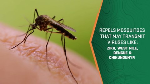 Repel 100 Insect Repellent Pump Spray with DEET, 10-Hour Protection, 4 Ounces