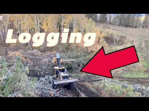 How Do They Do It? (Logging Compilation)