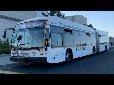 DRT Full Northbound Articulated Bus Ride Video on 9101 on route 901 Pulse-Simcoe to Ontario Tech U