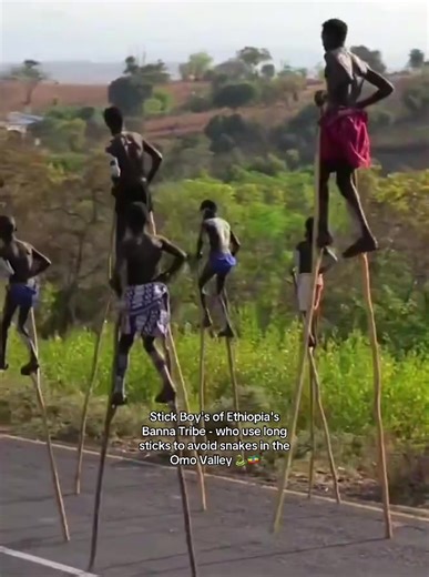 The “Lower Omo Valley” in southwestern Ethiopia is a UNESCO World Heritage Site and one of Africa's most culturally diverse regions. Home to 8–16 distinct indigenous tribes (including Mursi, Hamar, Karo, Banna, Dassanech, and others), totaling around 200,000 people, it features semi-nomadic pastoralists who maintain ancient traditions like lip plates, body painting, scarification, bull-jumping ceremonies, and cattle-centered lifestyles. Inhabited for over 2 million years as a prehistoric human c
