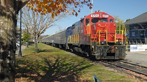 Discover the top 5 things to do with friends and family, while surrounded by the beauty of fall colors in Georgia's Blue Ridge. | Visit Blue Ridge GA