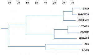 Polar Ecosystem: Surface