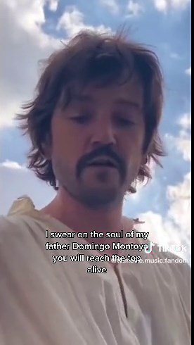 Multifandom Edits on TikTok