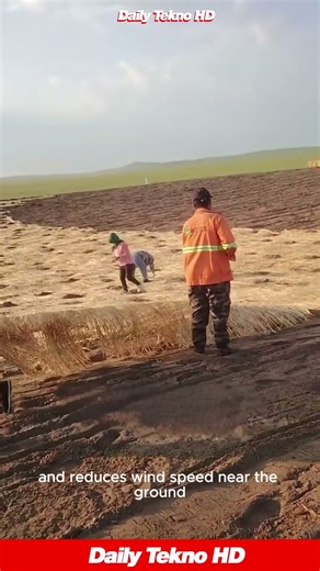 STOPPING The Desert With Giant Straw Blankets🏜️ #SandControl