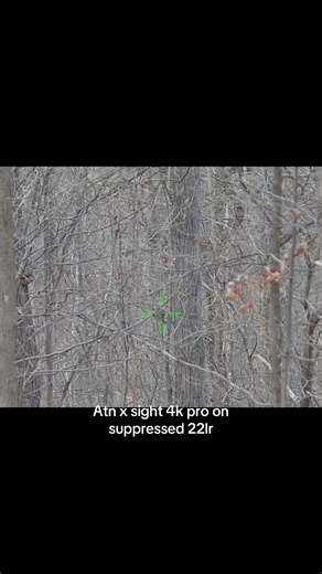 Atn x sight on suppressed 22lr #moto #hunting #squirrels