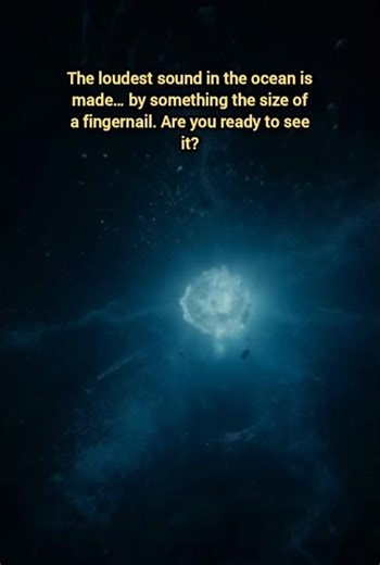 The Loudest Creature on Earth — And It’s the Size of a Fingernail