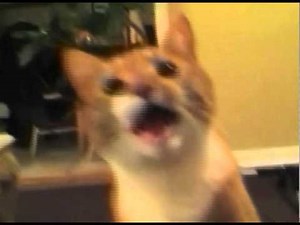 Shortest Video on Youtube Part 3