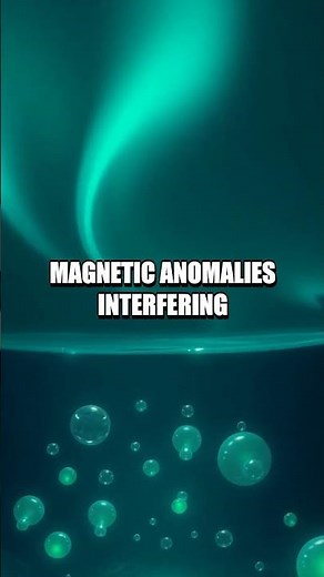 Dragon's Triangle Unveiled: Sea of Secrets