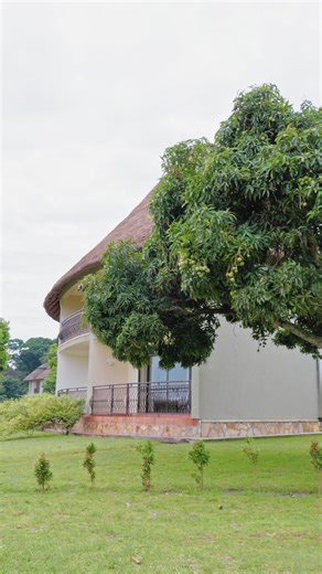 Every view feels like a quiet escape into nature’s calm. #VictoriaForestResort #NatureEscape #VisitUganda #GardenViews #LakeVictoriaRegion #PeacefulStay #TropicalVibes #HiddenGemUganda#fyp #goviral #TravelUganda #Kalangala