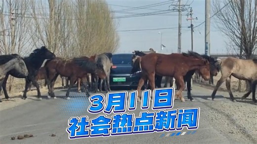 3月11日社会热点新闻事件速览，量大管饱