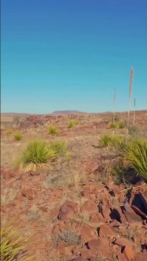 Anchor Land & Cattle Ranch