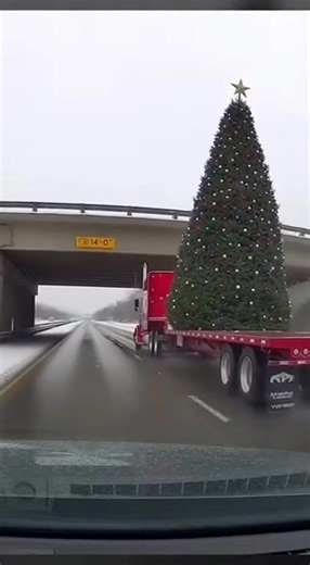 Christmas tree🌲 #funny #prank #christmas #christmastree | christmas tree