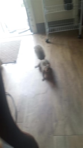 Kathy Jones (@kathy.jones68)’s videos with Teddy Pendergrass Love TKO Voceux - voceux
