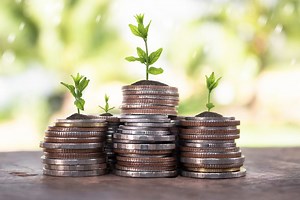 Fixed income and variable income. What do they mean? ▷➡️ Postposm