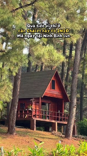 Quá tiếc vì chỉ ở căn Chalet này có 2N1D #greenpinecamp #campingninhbinh #dulichninhbinh#DoiThongHoDongChuong #TrangAnGolfandResort