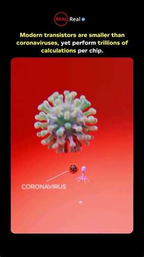 Transistors vs. Viruses: Which is Smaller? 🦠🦾