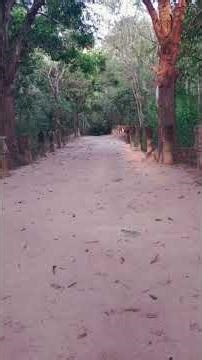 Exploring Chau Say Tevoda Temple on 07 Apr 26 Clip 9 #shorts