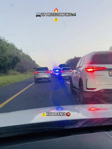 VIP Protection Unit: Security Insights from South Africa