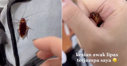 Woman Catches Adult Cockroach With Bare Hand & Looks Into Its Eyes To Show It Who’s        Boss